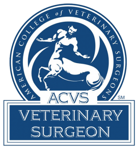 Veterinary Surgeon In Memphis